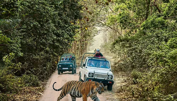 Jeep Safari