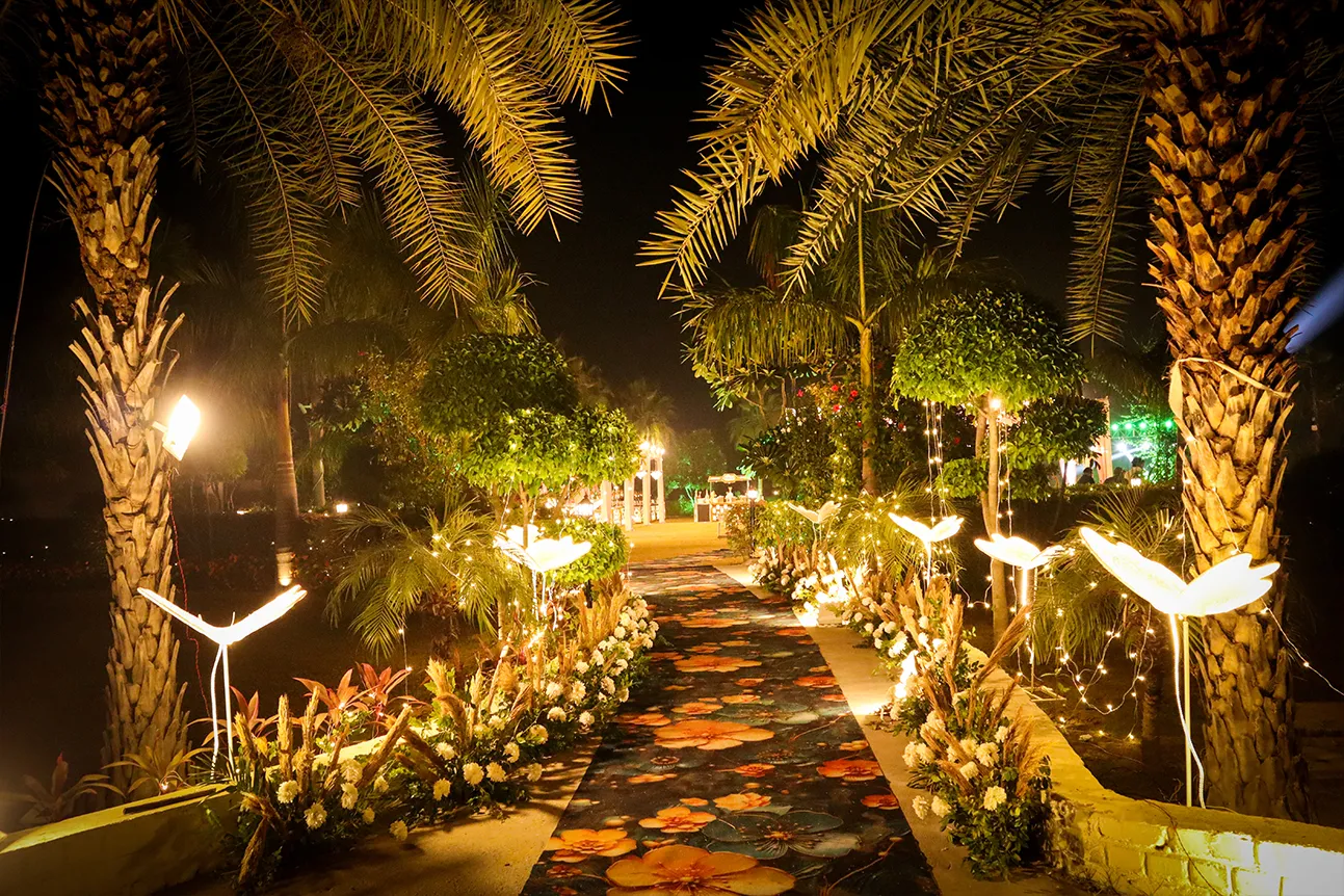 wedding  photo gallery 