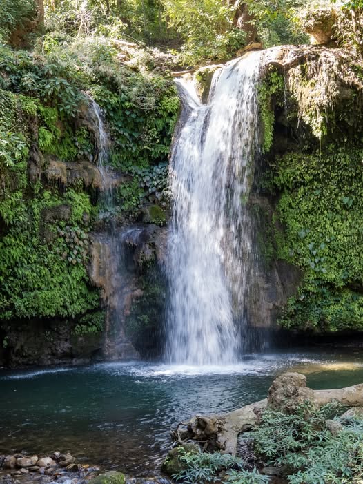 Corbett Falls waterfall Ramnagar Uttarakhand